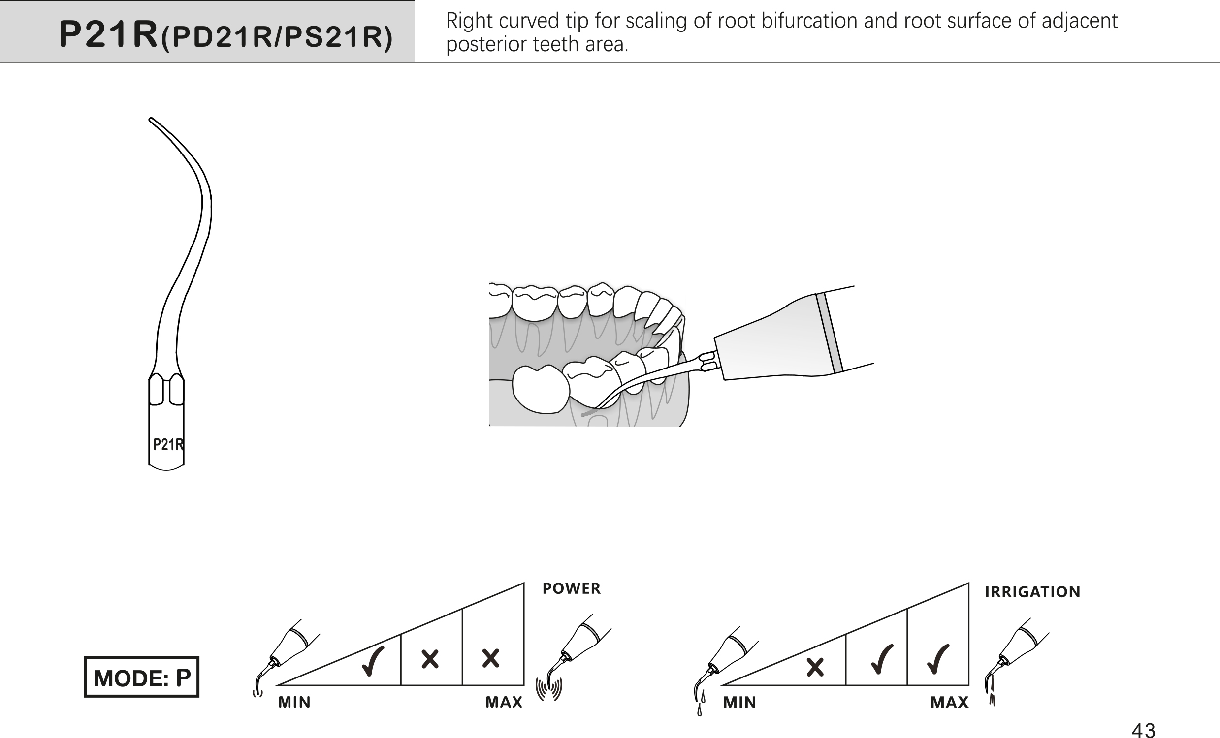 P21R